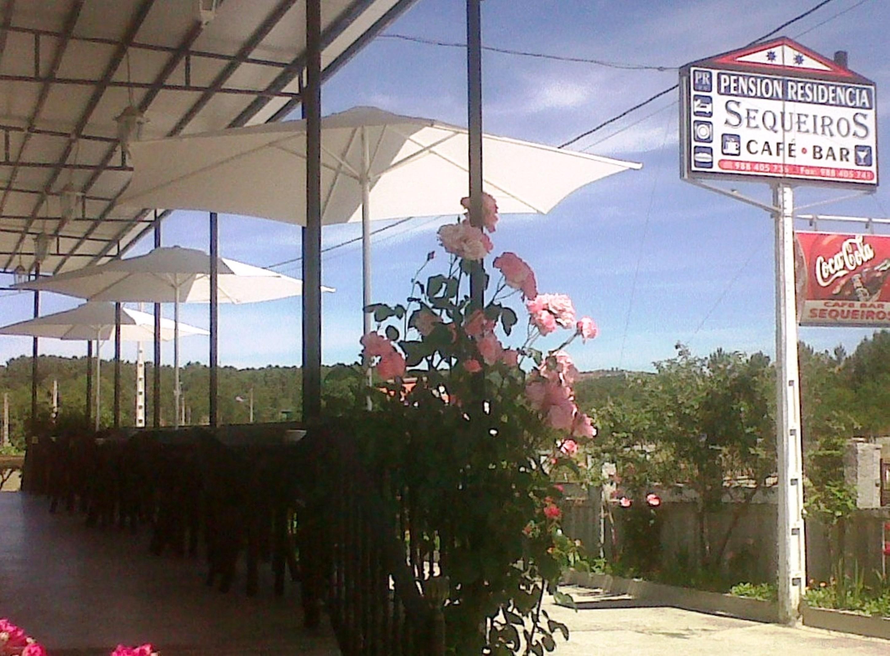 Hostal Sequeiros San Ciprian de Vinas Exterior photo